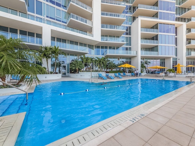 view of swimming pool with a patio