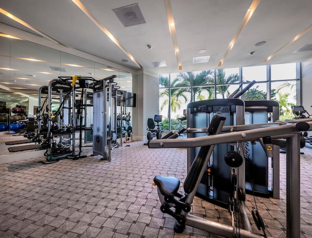 exercise room featuring expansive windows, a healthy amount of sunlight, and carpet floors