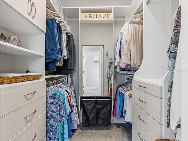 walk in closet featuring carpet floors