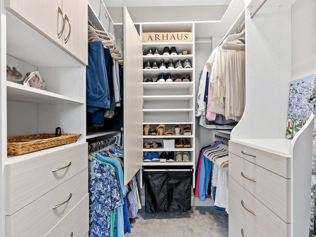 walk in closet with carpet flooring