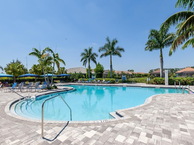 view of swimming pool with a patio