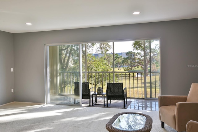 sitting room with carpet flooring