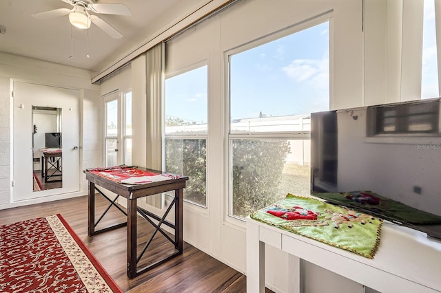 interior space with hardwood / wood-style floors and ceiling fan