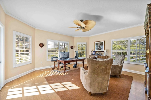 office with hardwood / wood-style flooring, ceiling fan, and ornamental molding