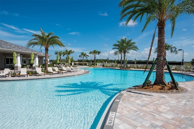 view of pool with a patio area