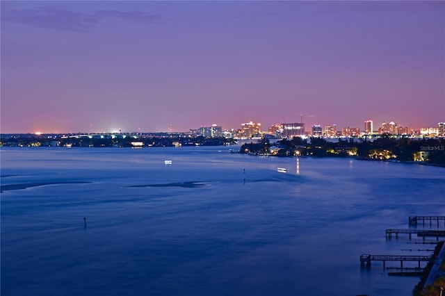 water view featuring a view of city