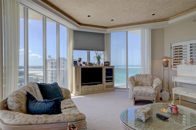 carpeted living room featuring a raised ceiling, a wealth of natural light, and a textured ceiling