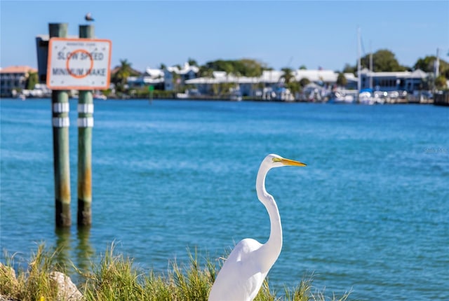 property view of water