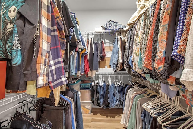 walk in closet featuring hardwood / wood-style flooring