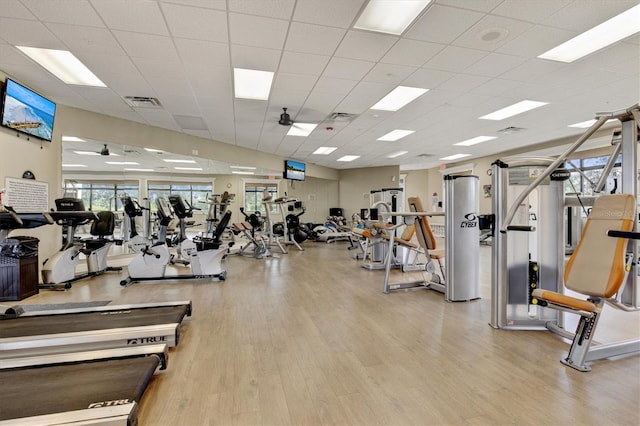 gym featuring a paneled ceiling and light hardwood / wood-style flooring