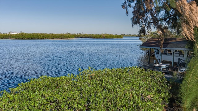 property view of water