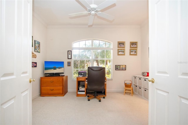 carpeted office with ceiling fan and ornamental molding