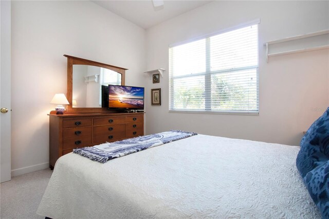 8532 Eagle Preserve Way, Sarasota, FL 34241 - photo 71