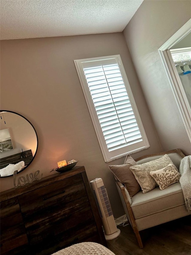 sitting room featuring a textured ceiling and wood finished floors