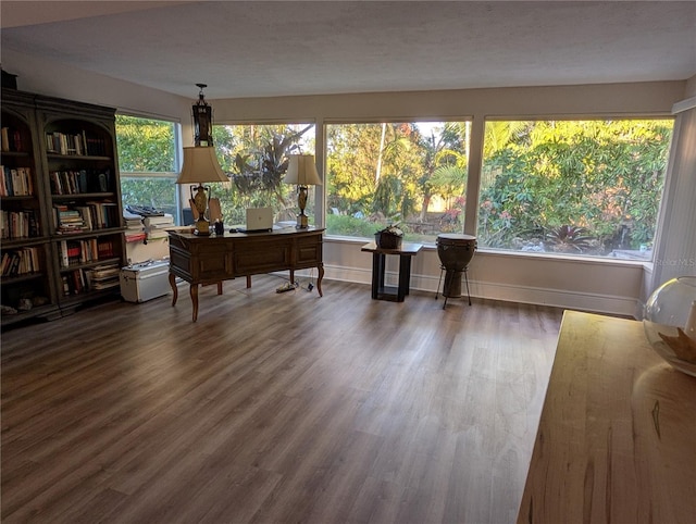 interior space featuring dark hardwood / wood-style flooring and a textured ceiling