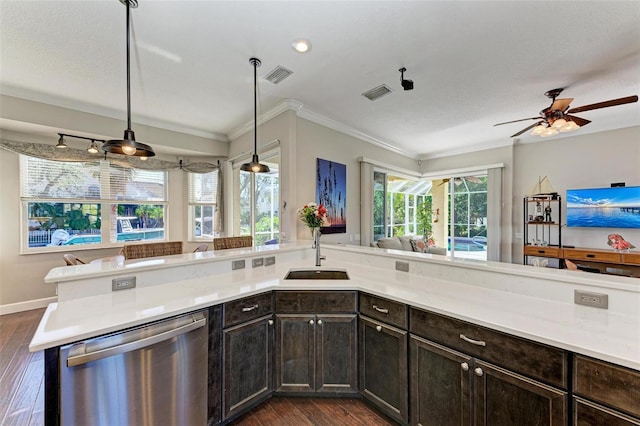 kitchen with dark hardwood / wood-style flooring, a healthy amount of sunlight, sink, and stainless steel dishwasher