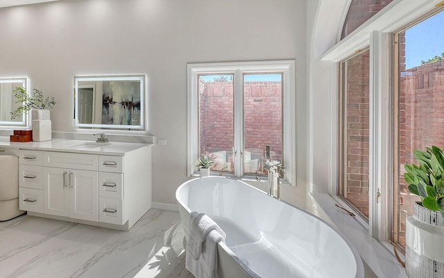 bathroom featuring a washtub, vanity, and a healthy amount of sunlight