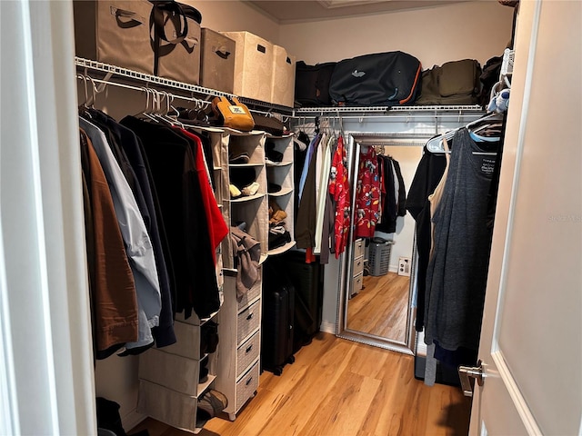 spacious closet featuring light hardwood / wood-style floors