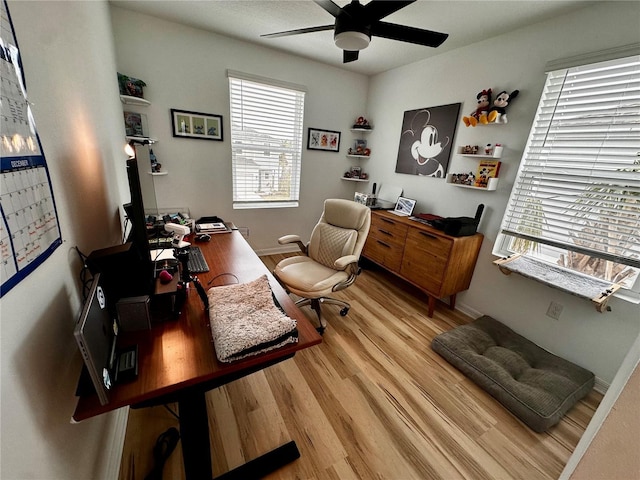 office featuring ceiling fan and light wood-type flooring