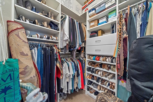 4106 Central Sarasota Pkwy Unit 1026, Sarasota, FL 34238 - spacious closet with carpet floors