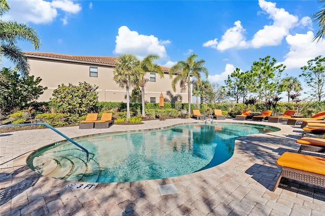 view of swimming pool with a patio area