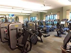 workout area featuring ceiling fan and wood-type flooring