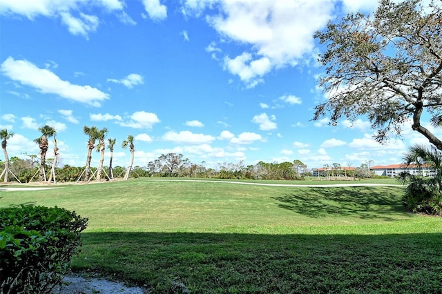 view of community with a yard