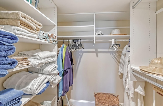 view of spacious closet