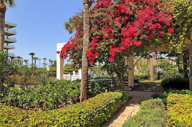 2109 Gulf Of Mexico Dr Unit 1303, Longboat Key, FL 34228 - photo 40