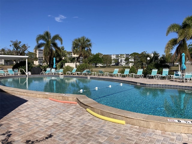 view of swimming pool featuring a patio area