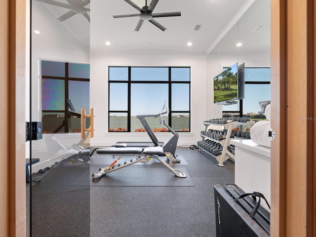 workout room featuring ceiling fan and crown molding