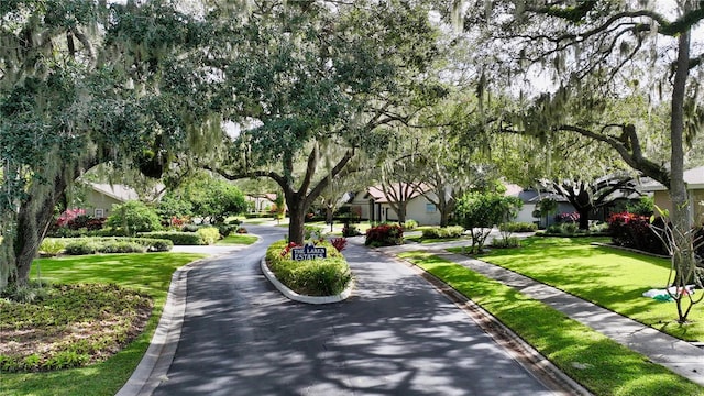 view of home's community featuring a yard