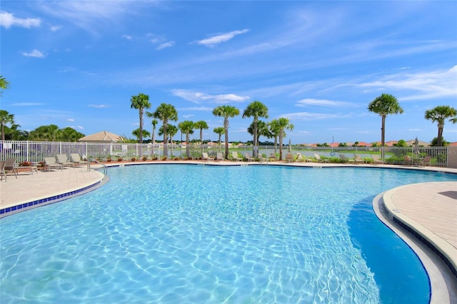 view of swimming pool with a patio area