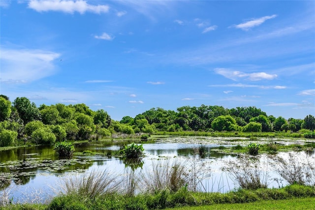 property view of water