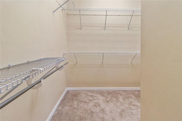 spacious closet with light carpet