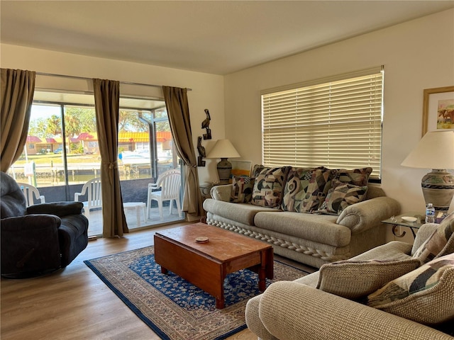 living room featuring light hardwood / wood-style flooring