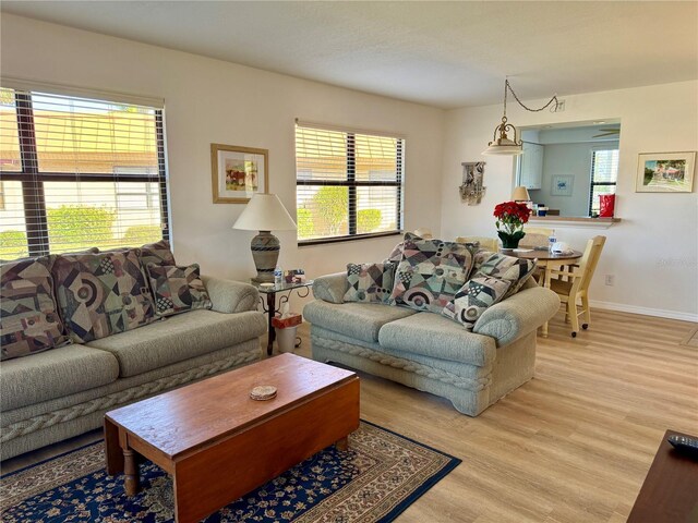 living room featuring light hardwood / wood-style floors