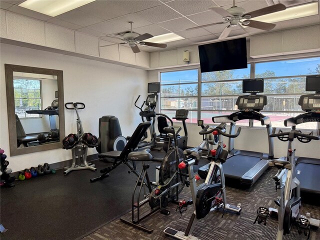 workout area featuring carpet flooring, ceiling fan, and a drop ceiling