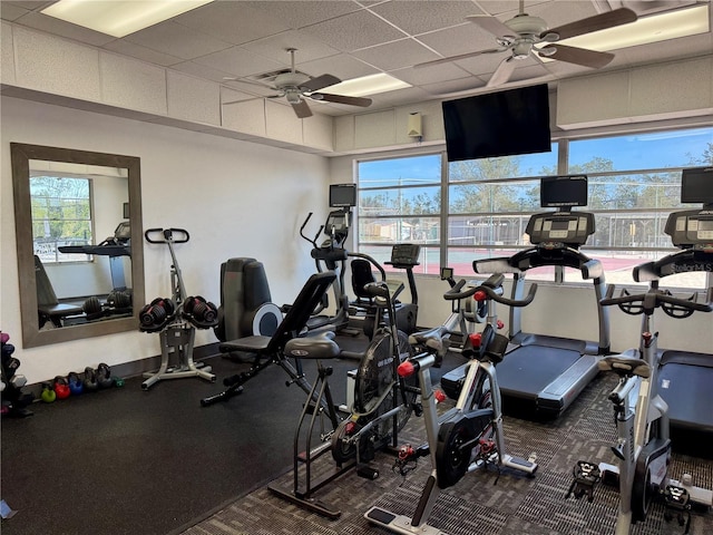 4104 Catalina Dr, Bradenton, FL 34210 - gym with a ceiling fan and a paneled ceiling