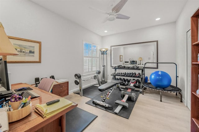 workout room featuring ceiling fan and light hardwood / wood-style flooring