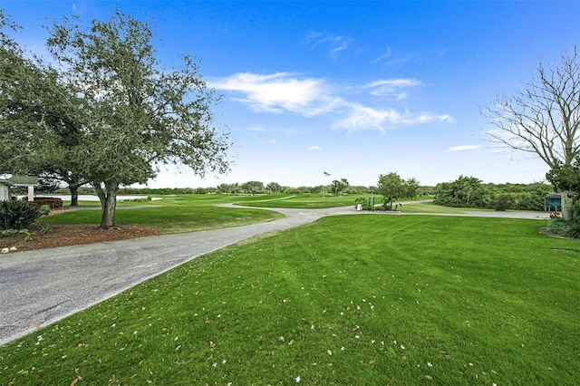 view of home's community featuring a yard