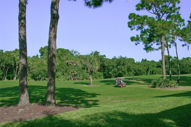 view of community with a yard