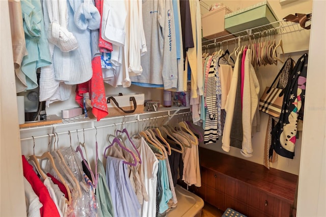 view of spacious closet