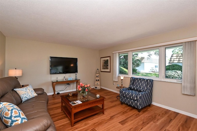 living room with hardwood / wood-style floors and a textured ceiling