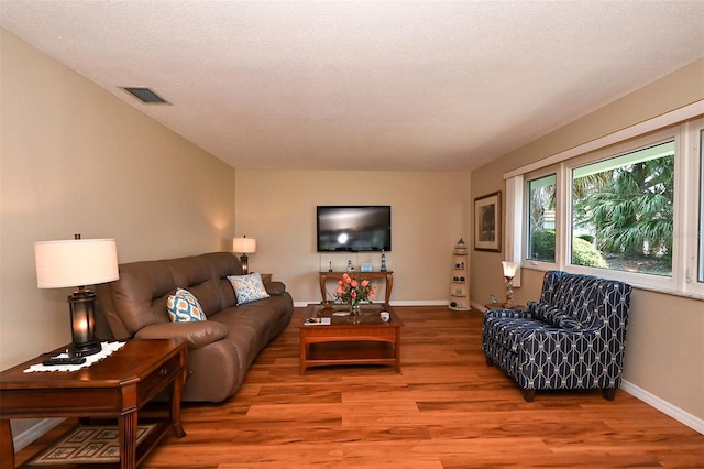 living room featuring hardwood / wood-style floors and a textured ceiling