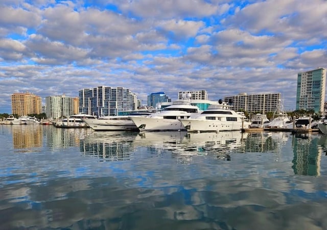 property view of water with a boat dock