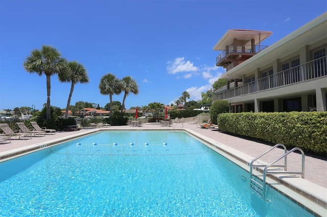 view of pool featuring a patio