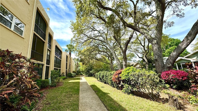 view of community with a yard