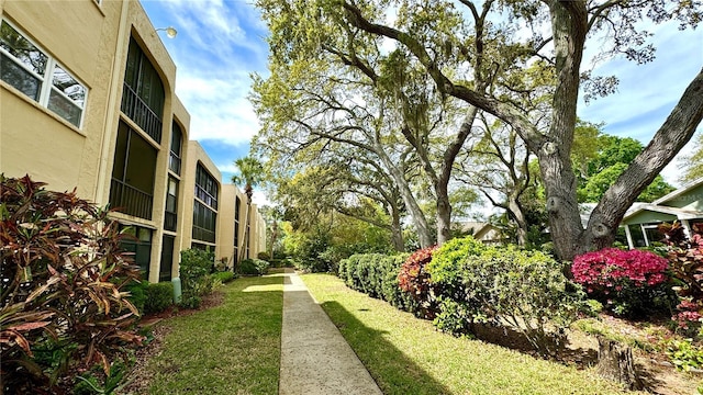 11485 Oakhurst Rd Unit 200-220, Largo, FL 33774 - view of grassy yard