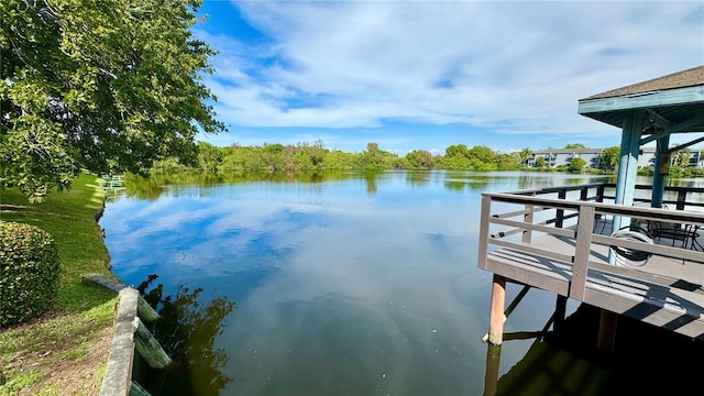 dock area with a water view